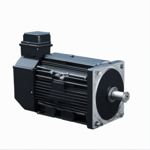 Allen Bradey | MPL-A430P-SJ72AA | Servo Motor Rotary Motor