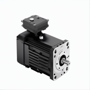 Allen Bradey | MPL-B860D-SJ22AA | Servo Motor Rotary Motor